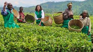 Agri-Tourism Opportunities