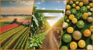 Agri-business Development