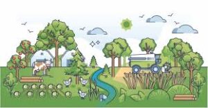 Agroforestry Systems