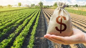 Farm Financial Planning