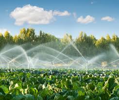 Irrigation System Management