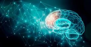 Neurology and Brain Sciences