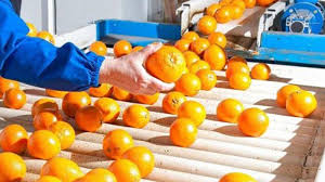 Post-Harvest Management