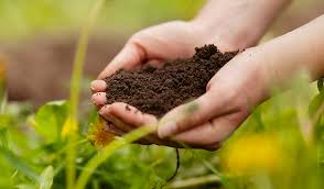 Sustainable Farming Practices